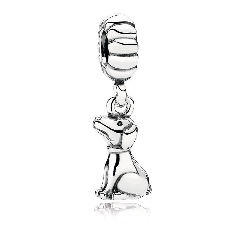 ✨ Bracelet Zodiaque Chinois DIY - 12 Charms Uniques, Créez Votre Style avec Élégance et Personnalité !