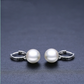 ✨ Élégantes Boucles d'Oreilles en Zircon - Strass Brillants, Style Chic pour Sublimer Vos Tenues au Quotidien