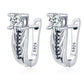 ✨ Boucles d'Oreilles Sophistiquées en Zircon Creux - Élégance Intemporelle pour Sublimer Votre Style au Quotidien !